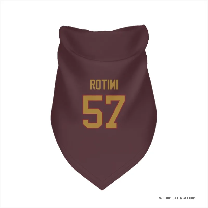 Bunmi Rotimi  Gold Washington Commanders   Burgundy  Cat & Dog Pet Bandana